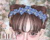 candy flora acc blue