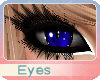 (OvO) Bear Blue Eyes