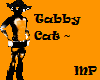 Tabby Cat~