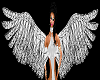 Derivable Animated Wings