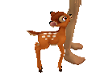 bambi ( pet)