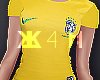 Brazil world cup 2018 F