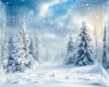 Snowy Winter Forest Bg