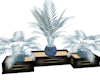plants trio/deco