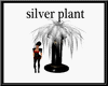 (TSH)SILVER PLANT