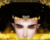 Dyari prince ~ Amber