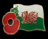 male welsh poppy badge