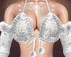 ❄️Snowy Lingerie