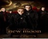 New Moon Volturi