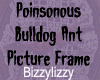 Bulldog Ant Photo Frame