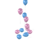Gender Balloons