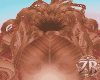 Arabella Ginger + Clips