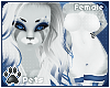 [Pets] Polar | fur v1