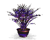 Neon Purple plant