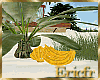 [Efr] Banana Tree