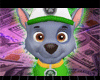 Rocky Paw Patrol