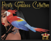 Pirate Goddess Parrot