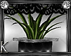 (K) Wicked- Plant/vase