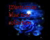 blue rose screen