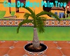 Cinco De Mayo Palm Tree