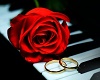 youtube Red Rose Ring