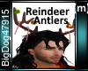[BD]ReindeerAntlers(m)