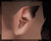 + Wolf Ears M
