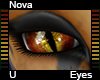 Nova Eyes