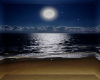 Radiant Beach Bg
