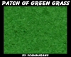 PATCH OF GREEN GRASS