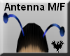 Alien Blue Antenna M/F