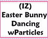 (IZ) Easter Bunny Partic