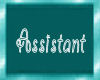 Assitstant Plate Teal
