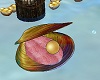 MY Gold Pearl Clam