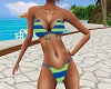 Summer  Bikini 2