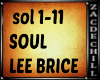 SOUL (Lee Brice)