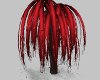 Blood Bath Willow