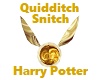 Quidditch Snitch Potter