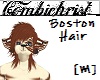 Boston Hair [M]