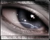 お. devotion III ⚥