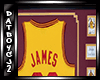 [CJ]Lebron James jersey