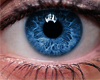 H Blue Eyes v1