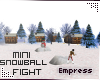 ! Mini Snowball Fight