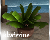 [kk] Tropic Love Plant 2