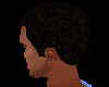 head