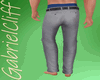 Gray Formal Pants