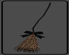 Witches Broomstick