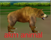 bear  ayı