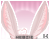 𝓦 | Pinku Ears