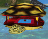 Island of the turtle